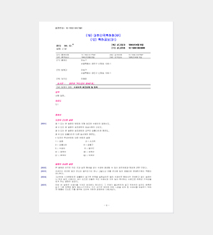 특허공보_수제비
